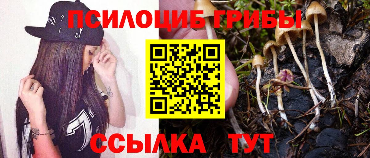 Галлюциногенные грибы мицелий  Вход с VPN  Иваново 