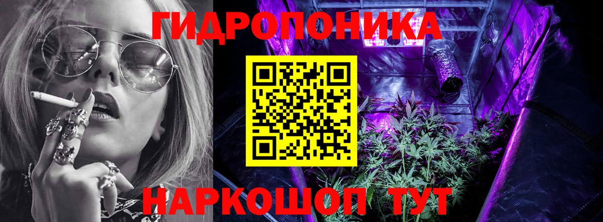 Бошки Шишки план Иваново